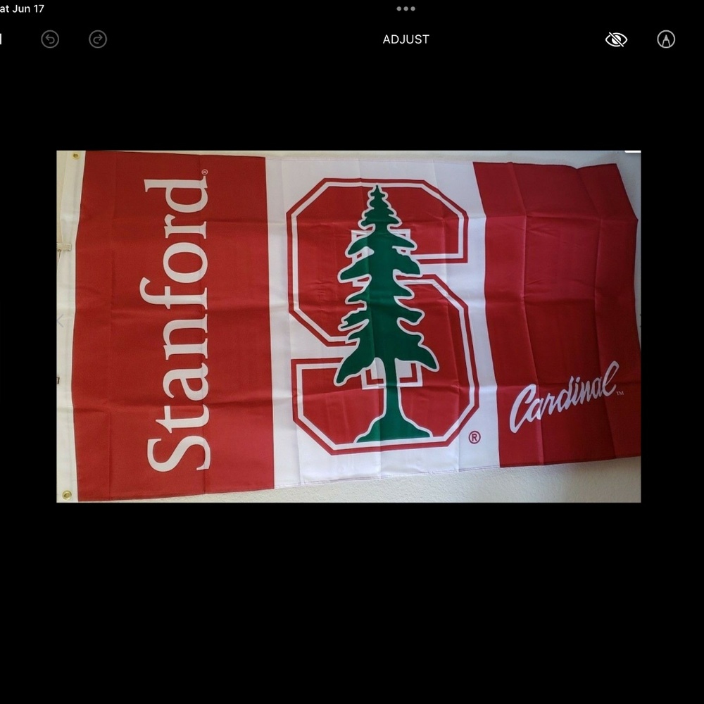COPY - Stanford flag